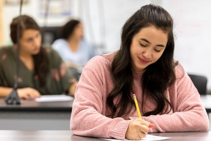 Uma jovem mulher com cabelo castanho e longo, vestindo um suéter rosa, escreve em um caderno. Ela parece estar concentrada em seu trabalho, com um sorriso suave no rosto.